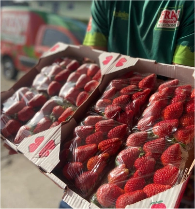 Venda de Produtos por Atacado